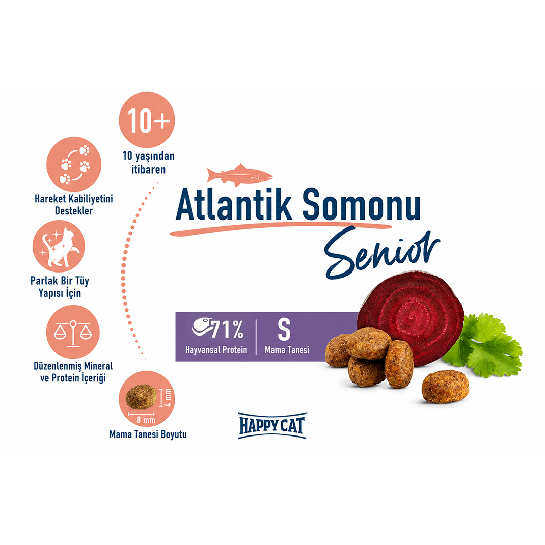Happy Cat Senior Atlantic Salmon