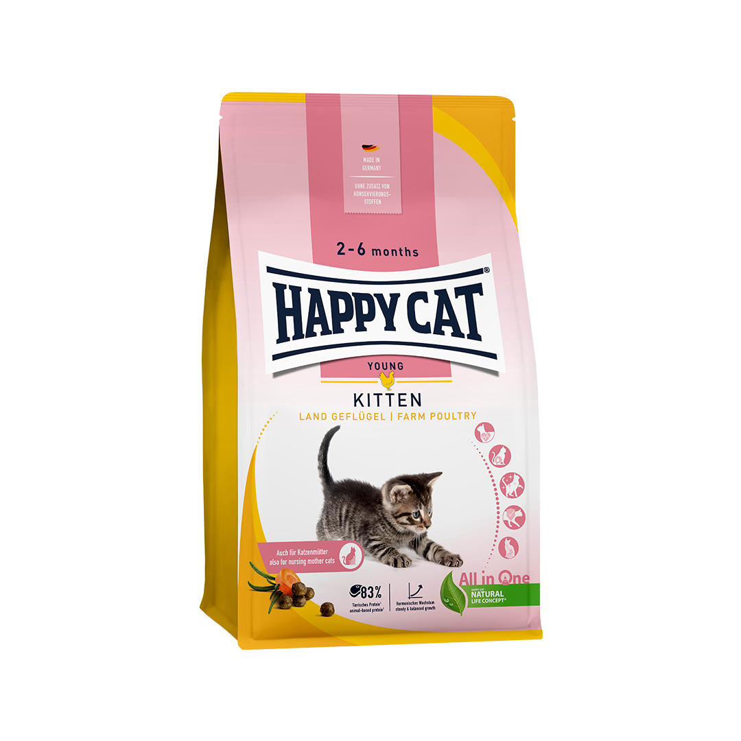 Happy Cat Young Kitten Farm Poultry
